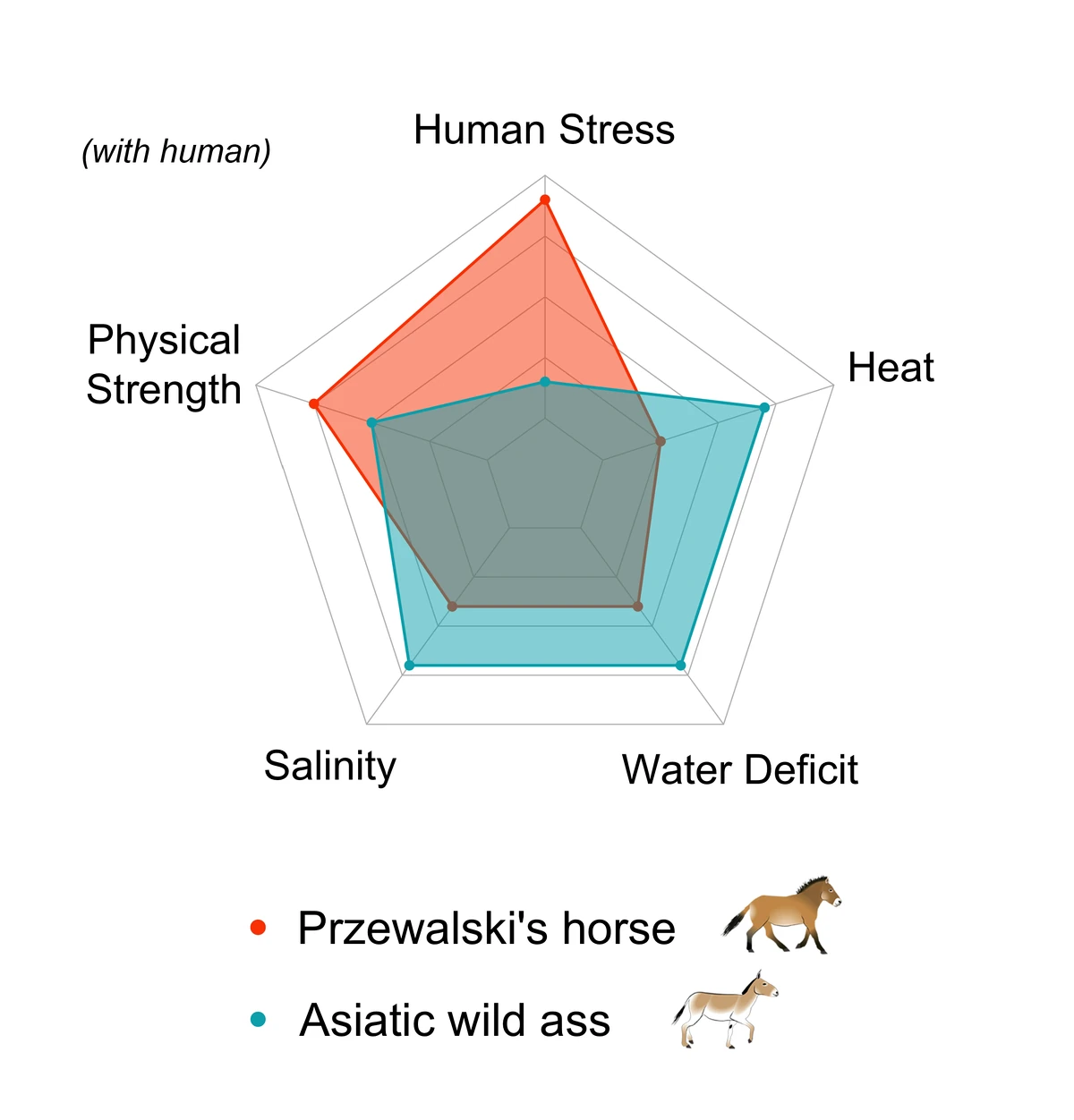 Coexistence research diagram